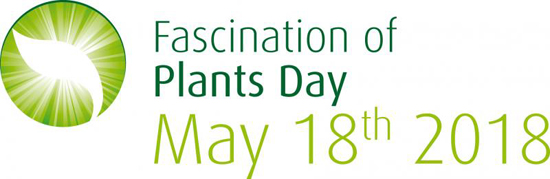 La celebración internacional es el 18 de mayo La celebración internacional es el 18 de mayo