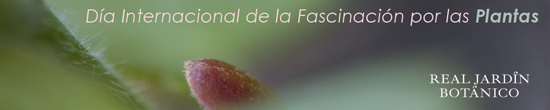 Cartel anunciador del Real Jardín Botánico Cartel anunciador del Real Jardín Botánico