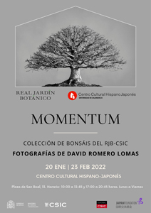Cartel anunciador de la exposición Cartel anunciador de la exposición